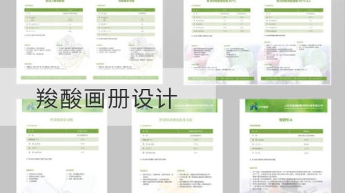 羧酸开云官网注册下载安装教程
